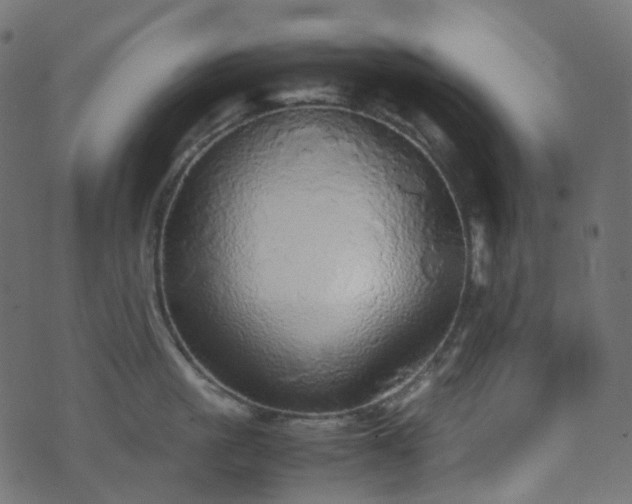 X0000070870861200606231316