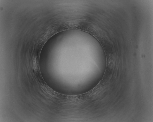 X0000070870866200606231315
