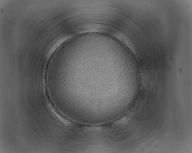 X0000070870890200606231315