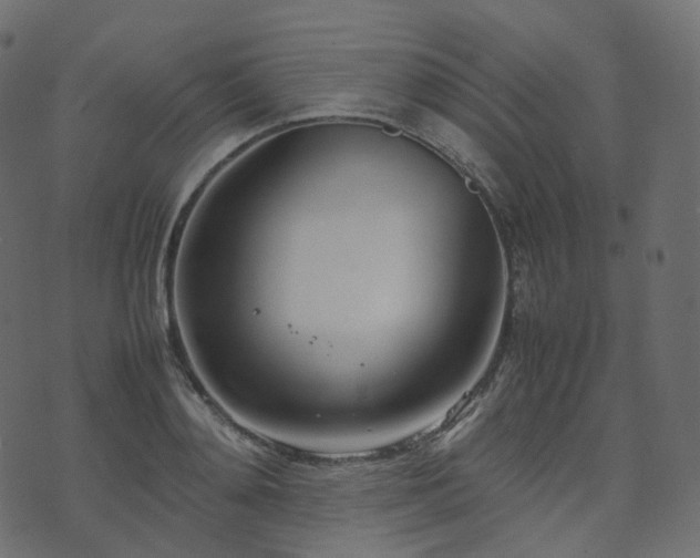 X0000070870892200606231315