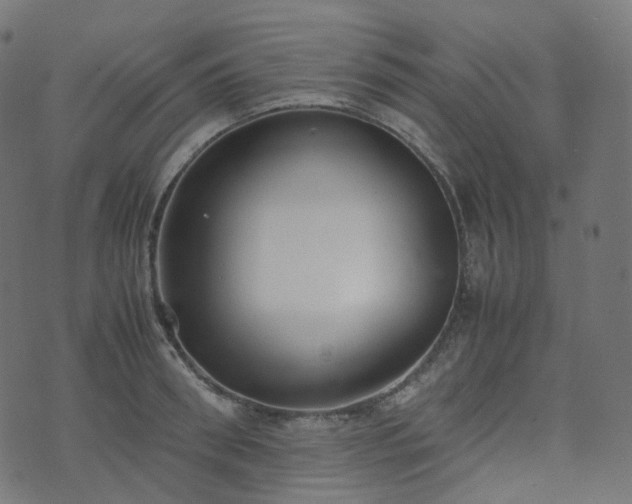 X0000070870898200606231315