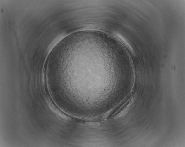 X0000070870900200606231315