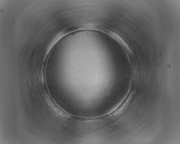X0000070870908200606231315