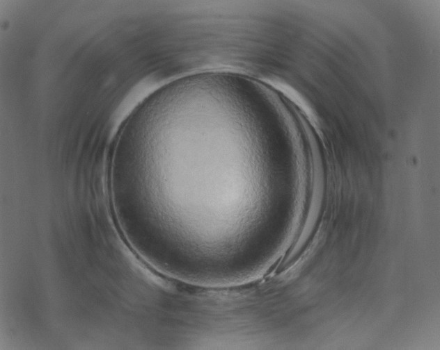 X0000070870910200606231315