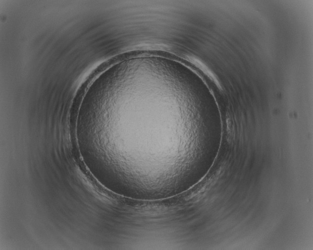 X0000070870972200606231314