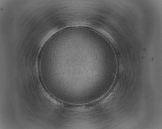 X0000070870990200606231313