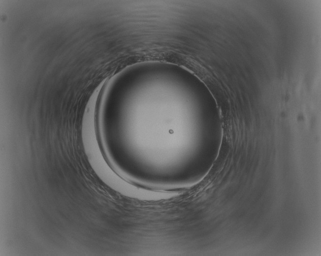 X0000070871010200606231312