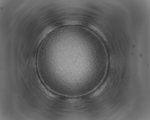 X0000070871033200606231313
