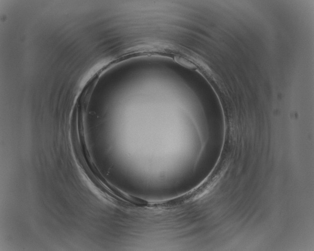 X0000070871034200606231313