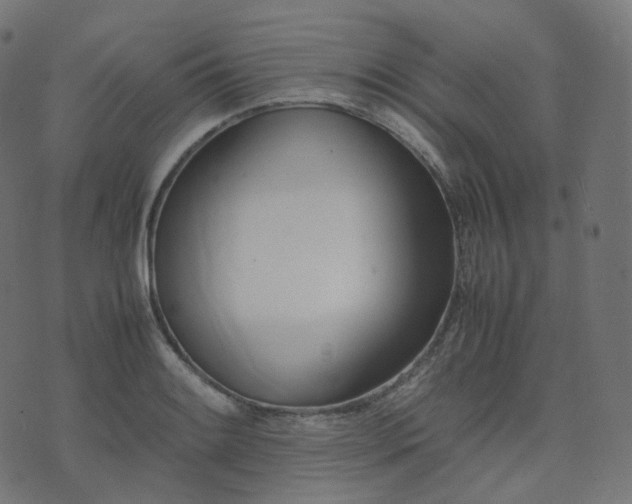 X0000070871084200606231312