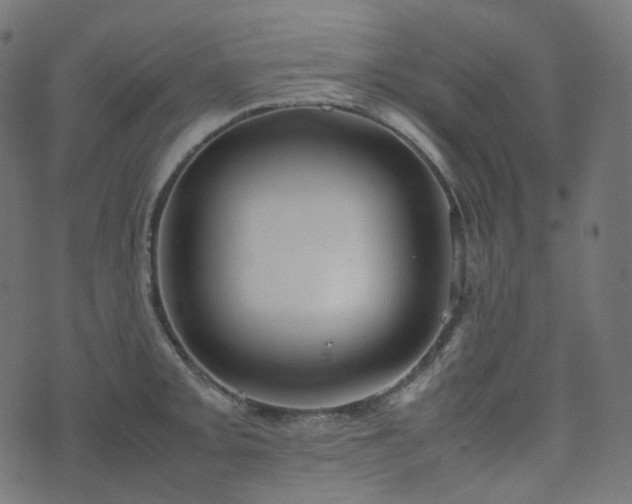 X0000070871093200606231312