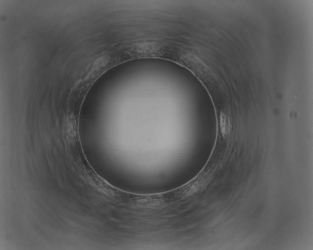 X0000070871107200606231311