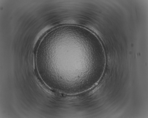 X0000070871123200606231311
