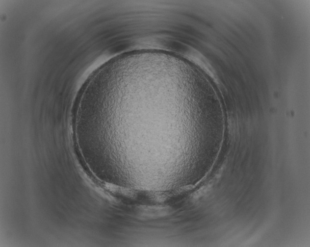 X0000070871133200606231311