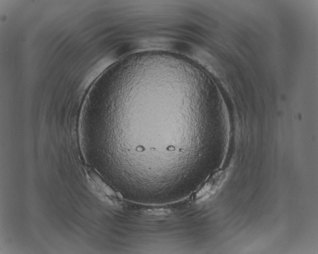 X0000070871137200606231311
