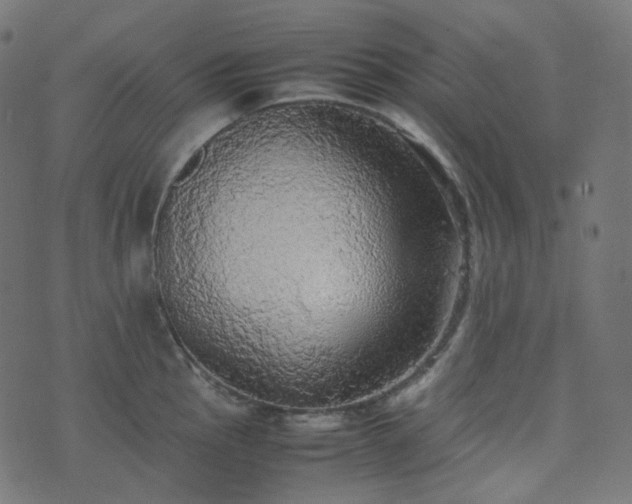 X0000070871145200606231311