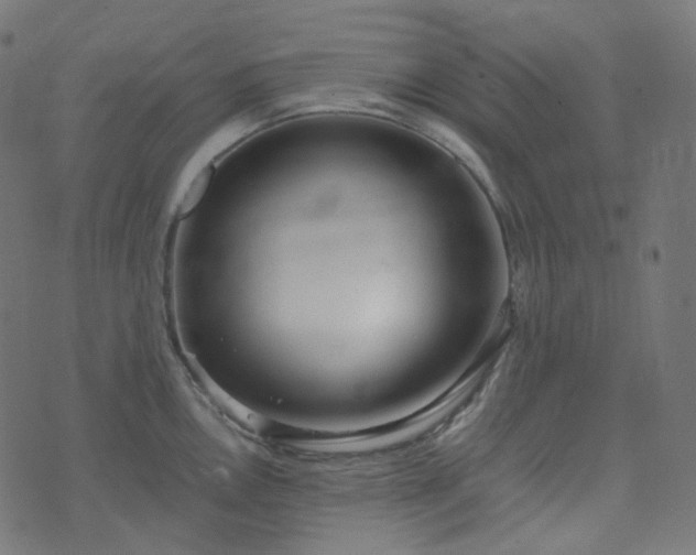 X0000070871146200606231311