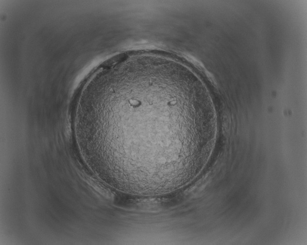 X0000070871167200606231310