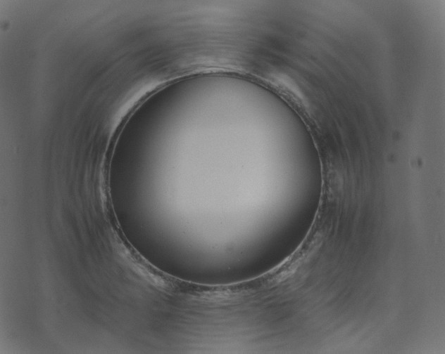 X0000070871182200606231310