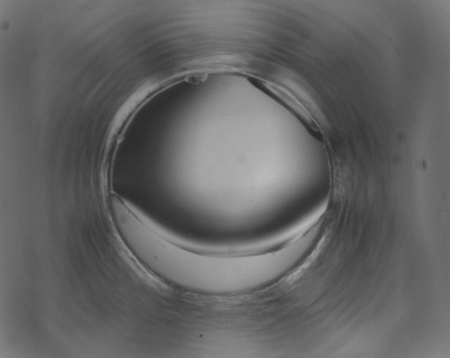 X0000070871196200606231310