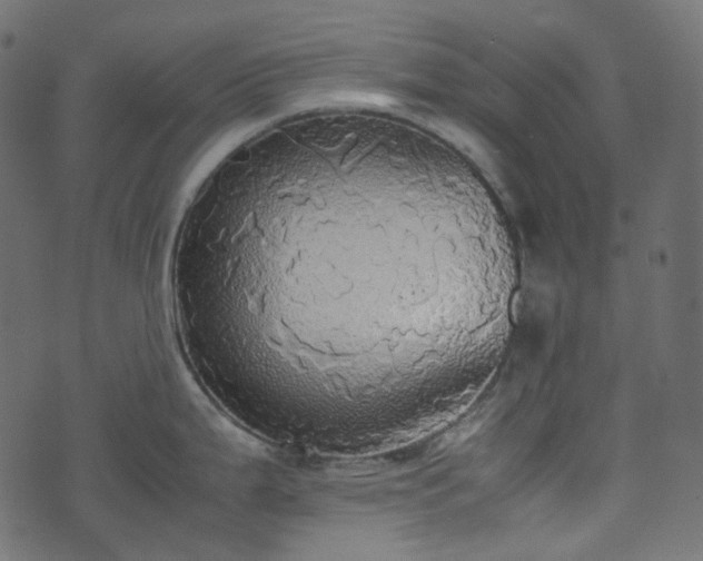 X0000070871199200606231310