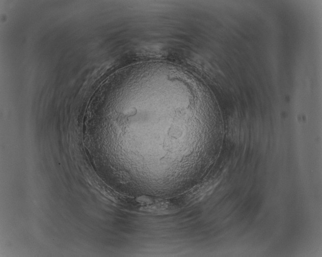 X0000070871201200606231309