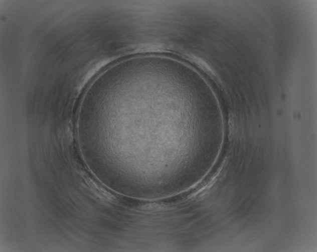 X0000070871212200606231309