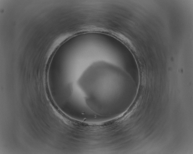 X0000070871231200606231310