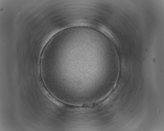 X0000070871236200606231310
