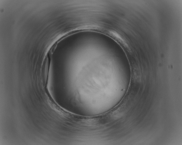 X0000070871276200606231309
