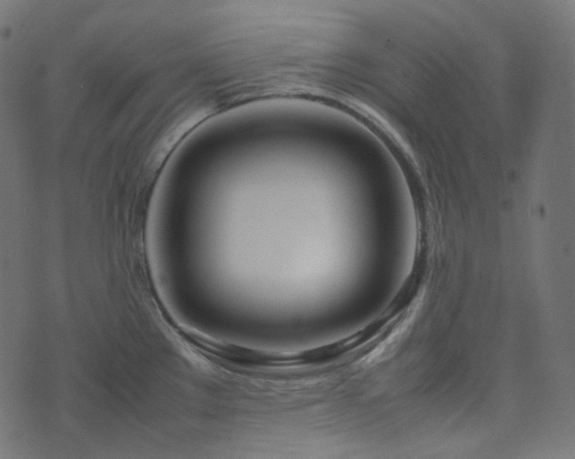 X0000070871289200606231308