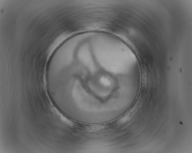 X0000070871294200606231308