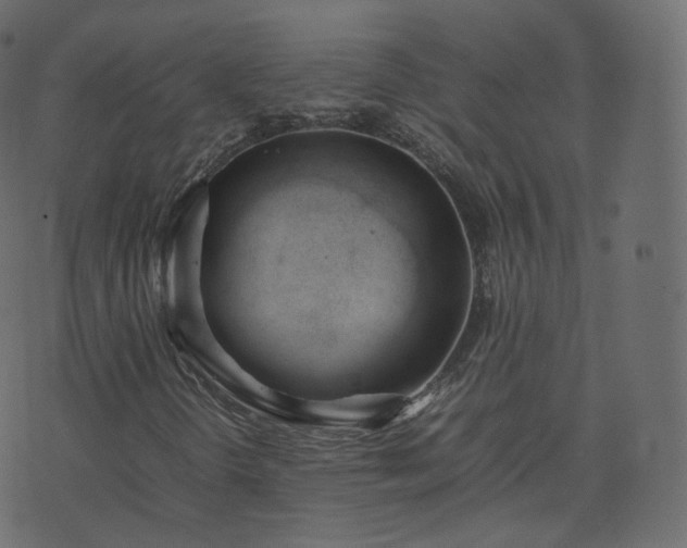 X0000070871298200606231308