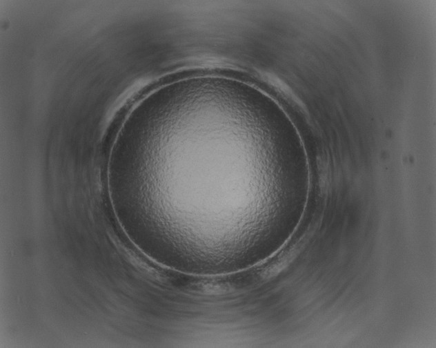 X0000070871318200606231308