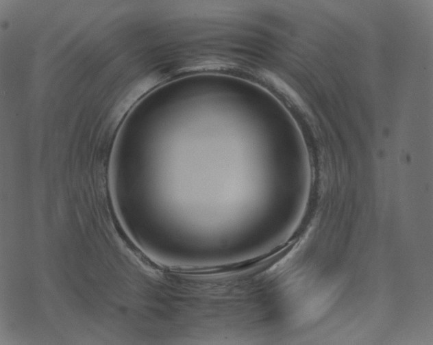 X0000070871329200606231308