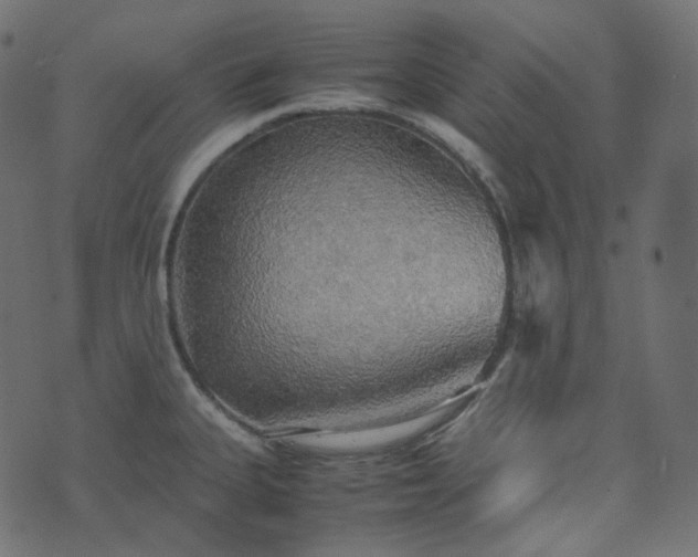 X0000070871335200606231308