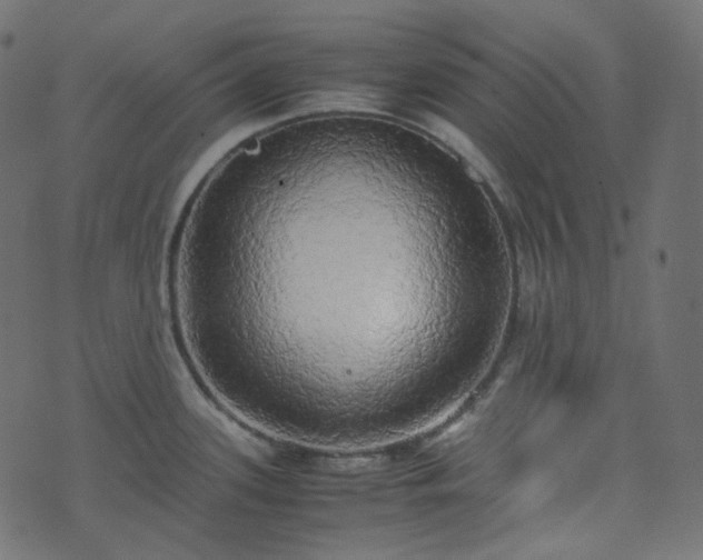 X0000070871339200606231308