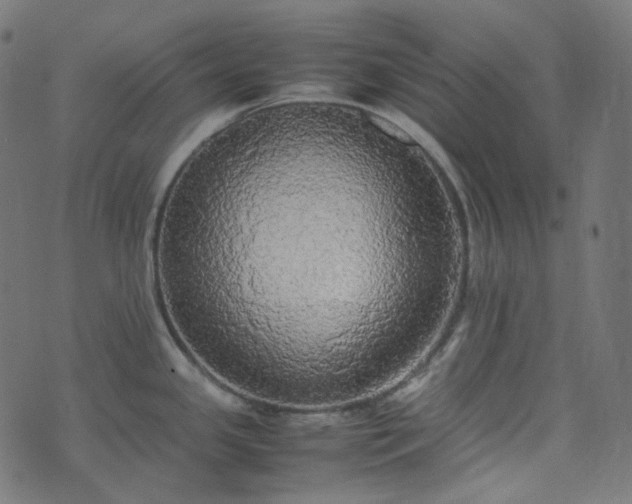 X0000070871341200606231308
