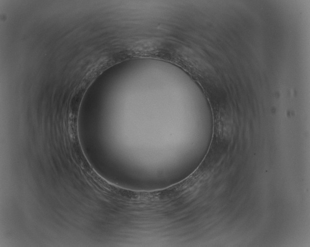 X0000070871346200606231307