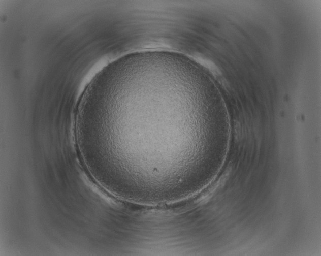 X0000070871374200606231307