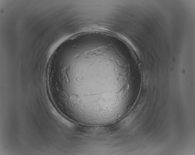 X0000070871387200606231307