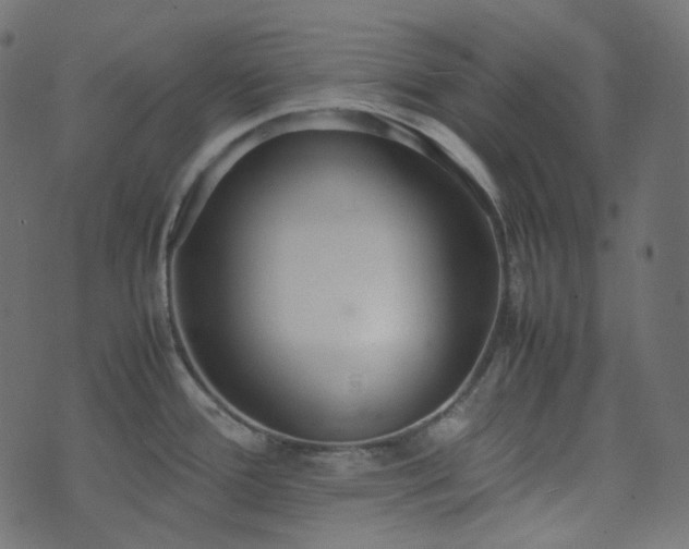 X0000070871388200606231307