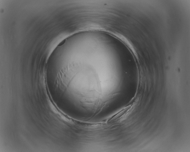 X0000070871390200606231307