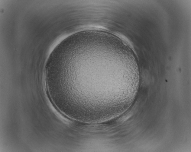 X0000070871391200606231307