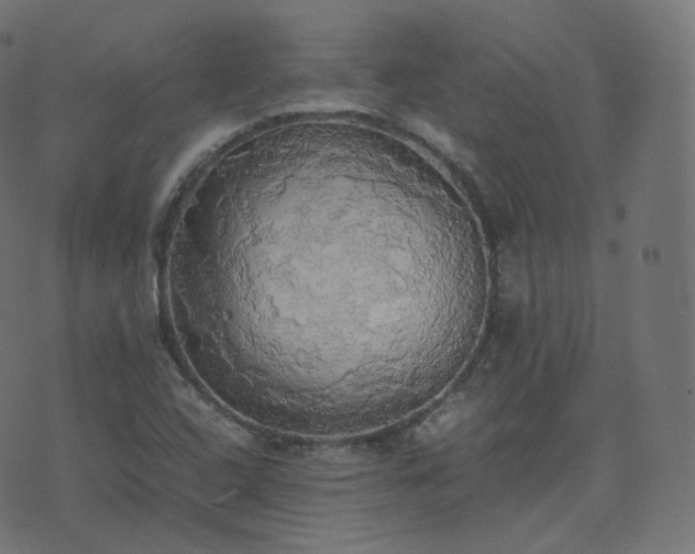 X0000070871408200606231306