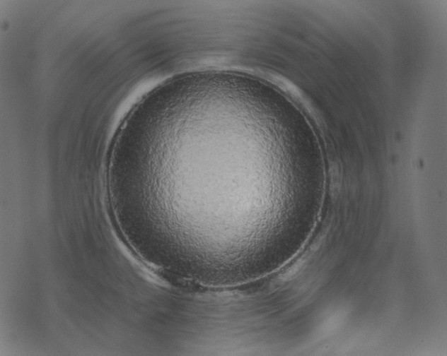 X0000070871432200606231307