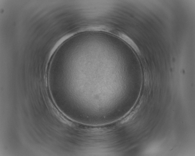 X0000070871436200606231307