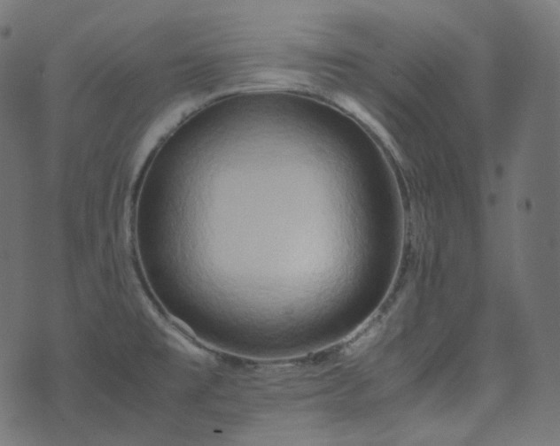 X0000070871477200606231305