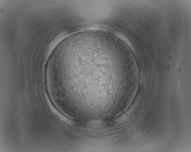 X0000070871483200606231305