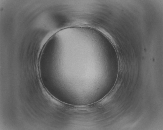 X0000070871486200606231305